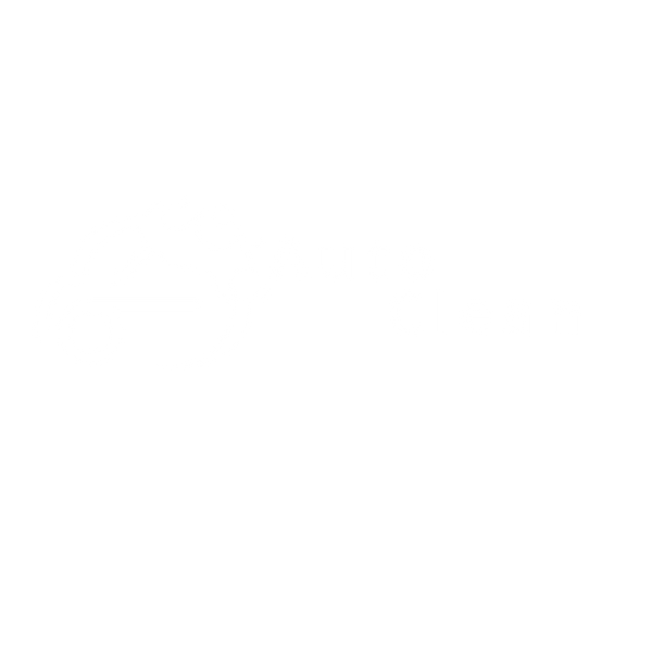 AutoCleean